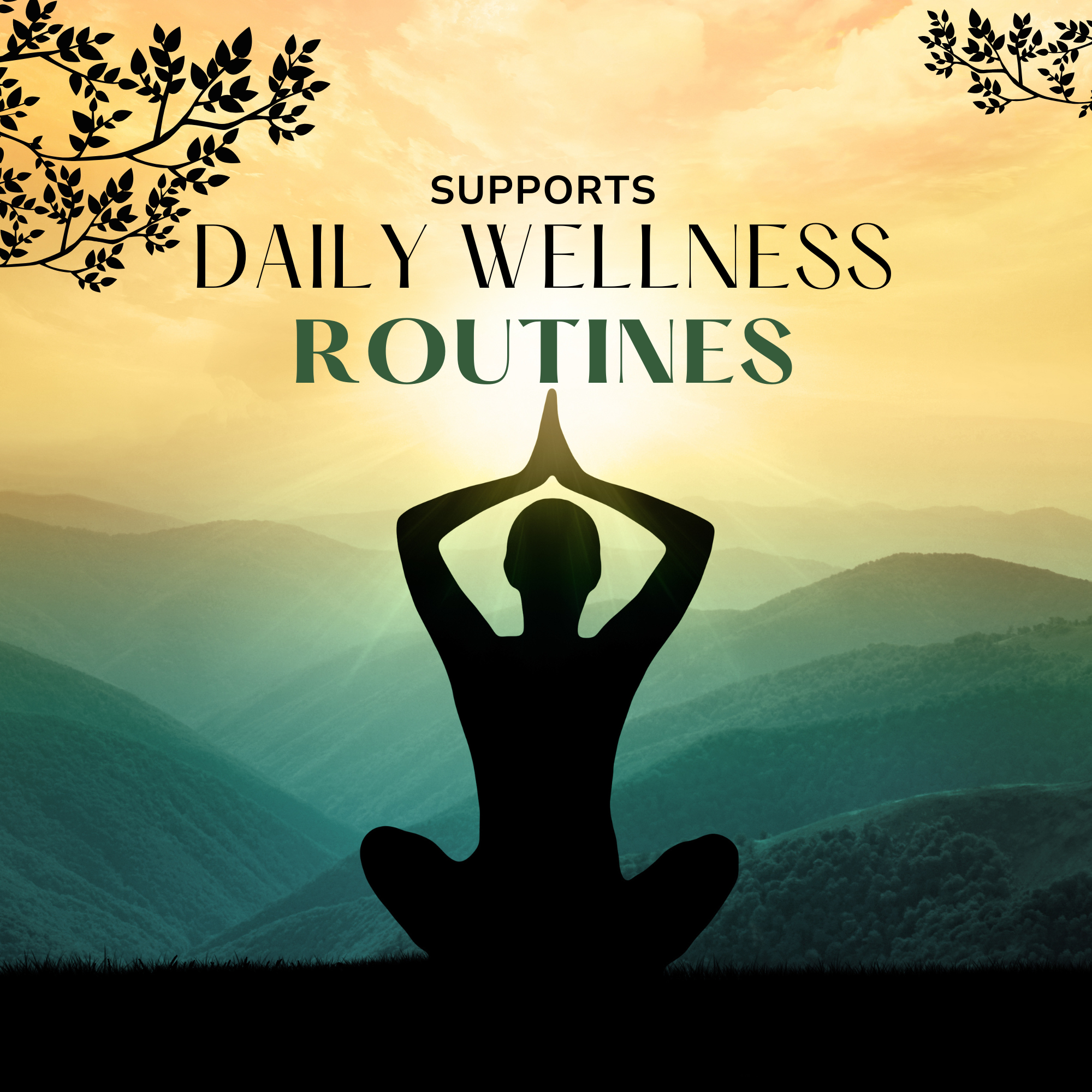 Divine Wellness Noni Concentrated 800ml