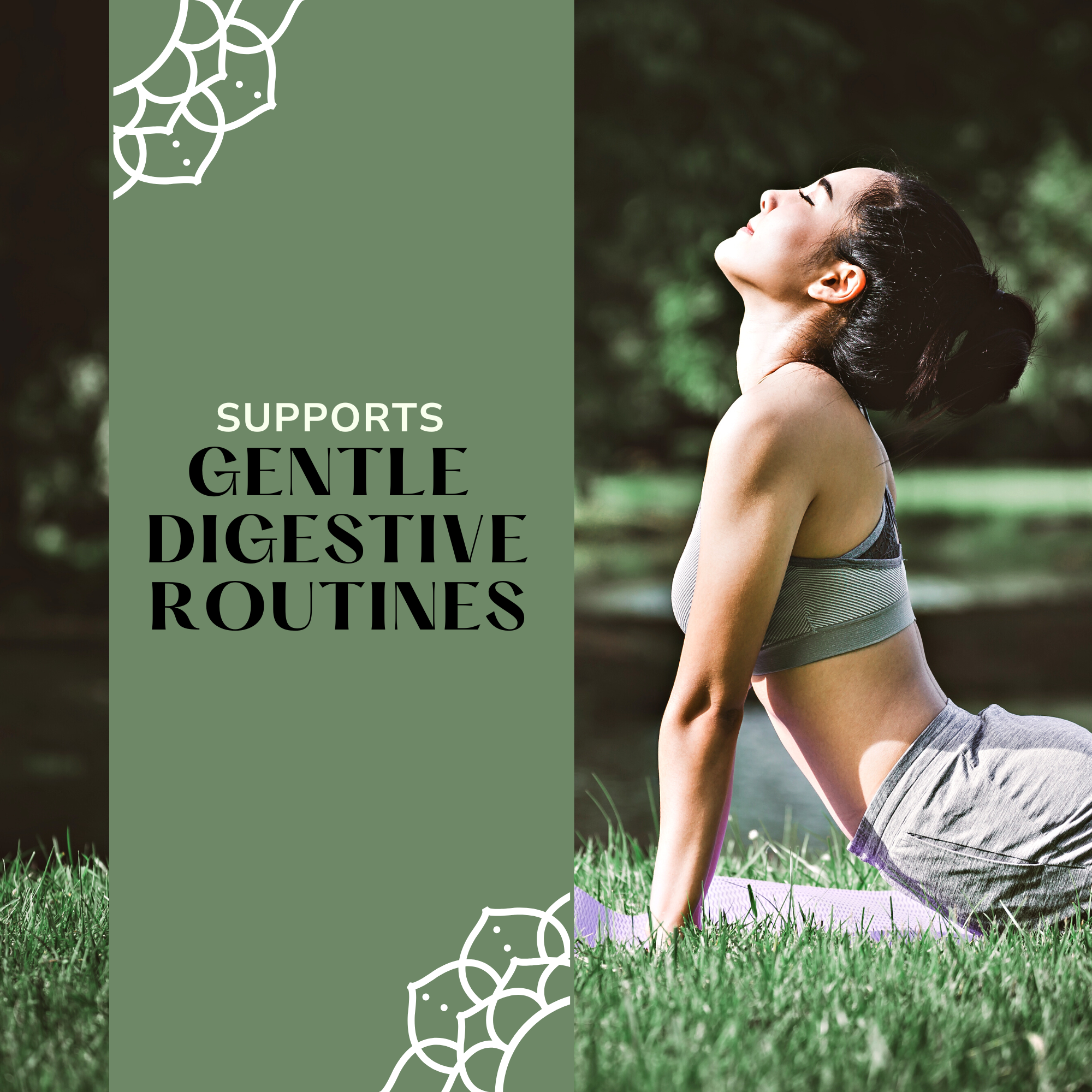 Divine Noni Fermented Juice 800ml