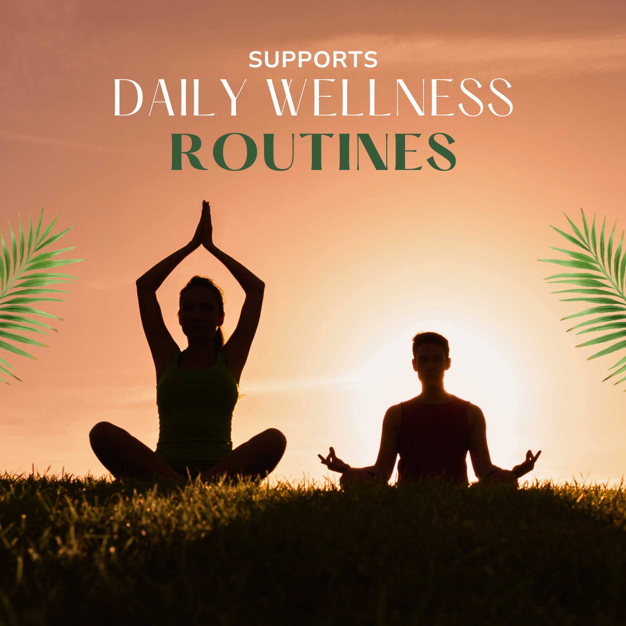 Divine Wellness Noni Concentrated 400ml