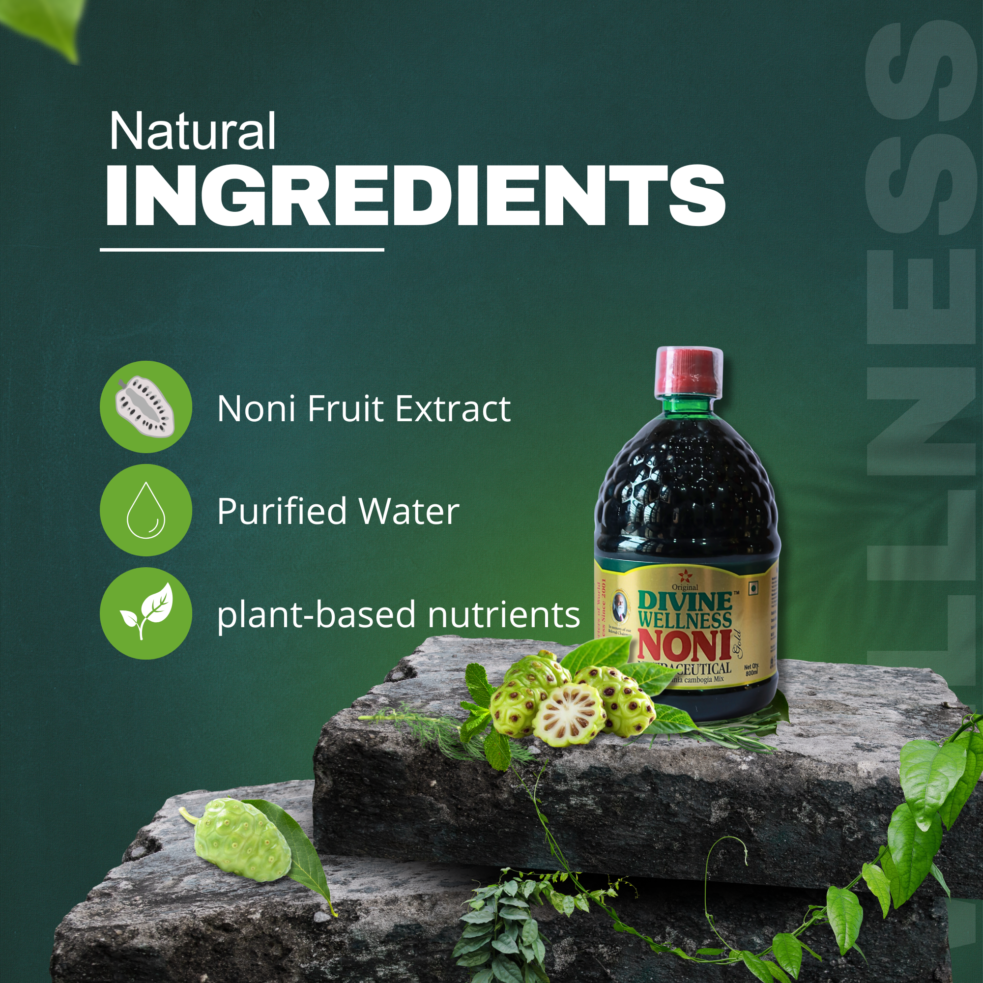 Divine Wellness Noni Concentrated 400ml