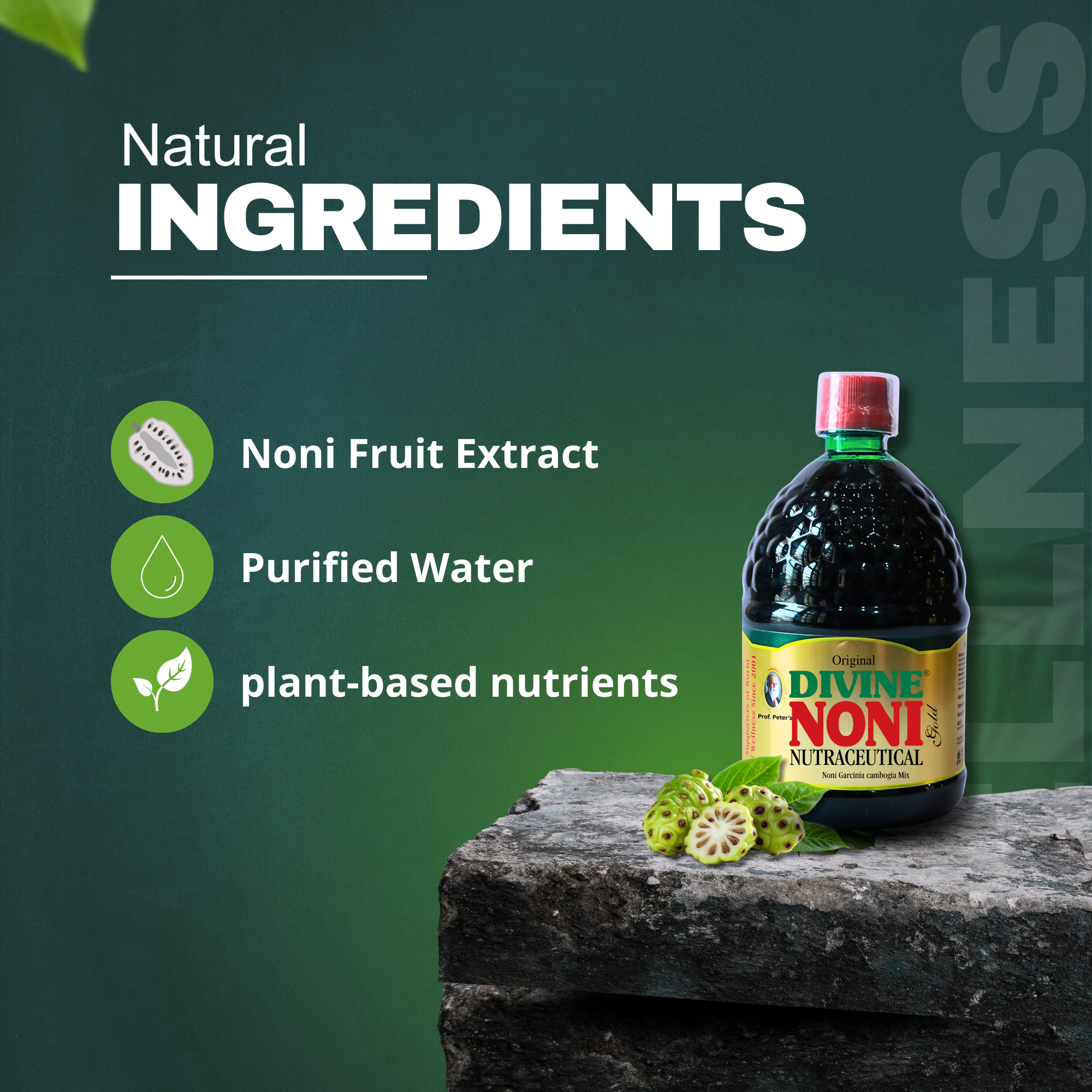 Divine Wellness Noni Concentrated 400ml