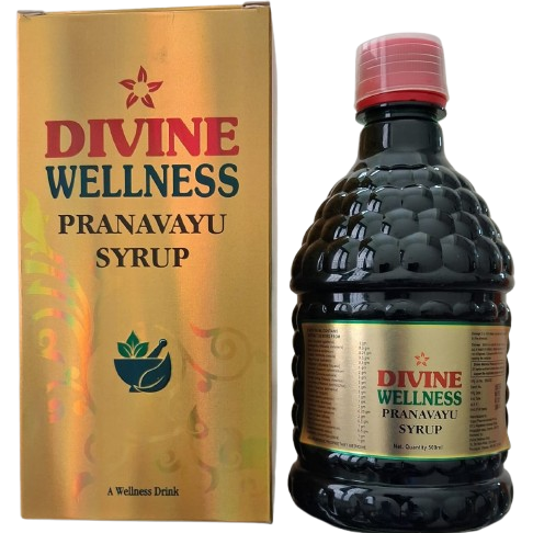 Divine Wellness Pranavayu Syrup